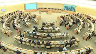41st Session UN Human Rights Council - Minorities in New Zealand under Agenda Item 6 - Ms. Audrey Ferdinand