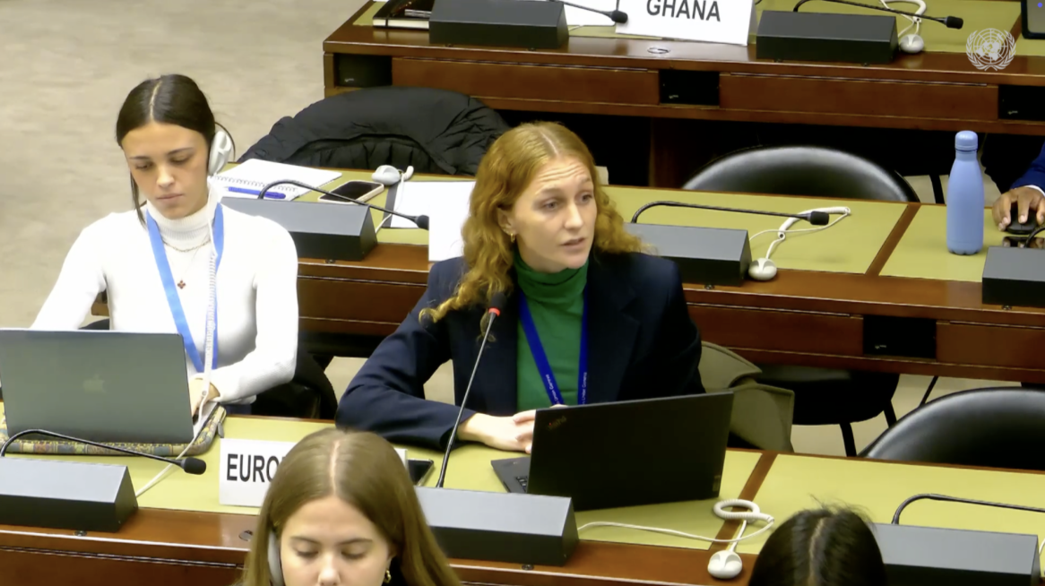 WG Right to development 05