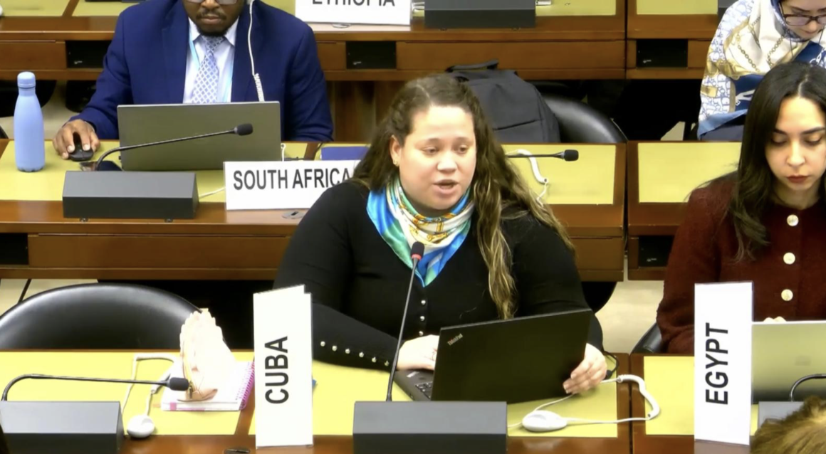 WG Right to development 10