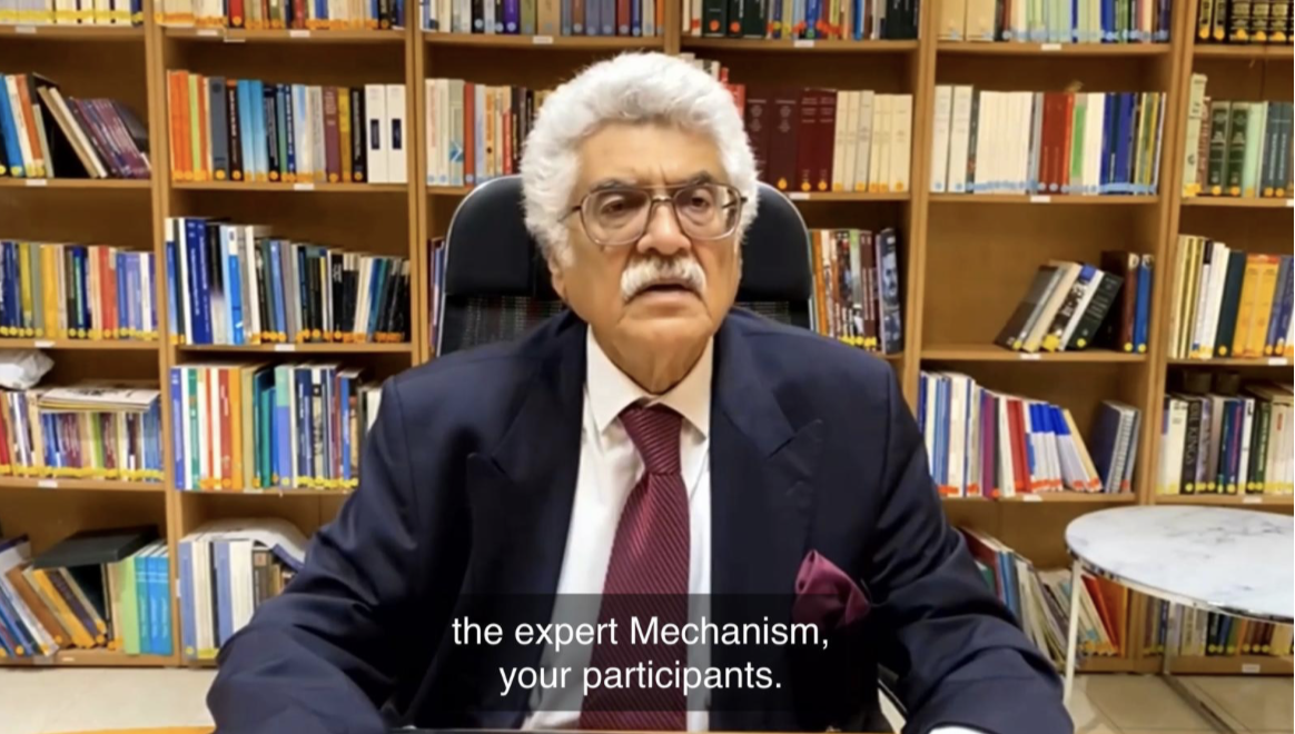 WG Right to development 11