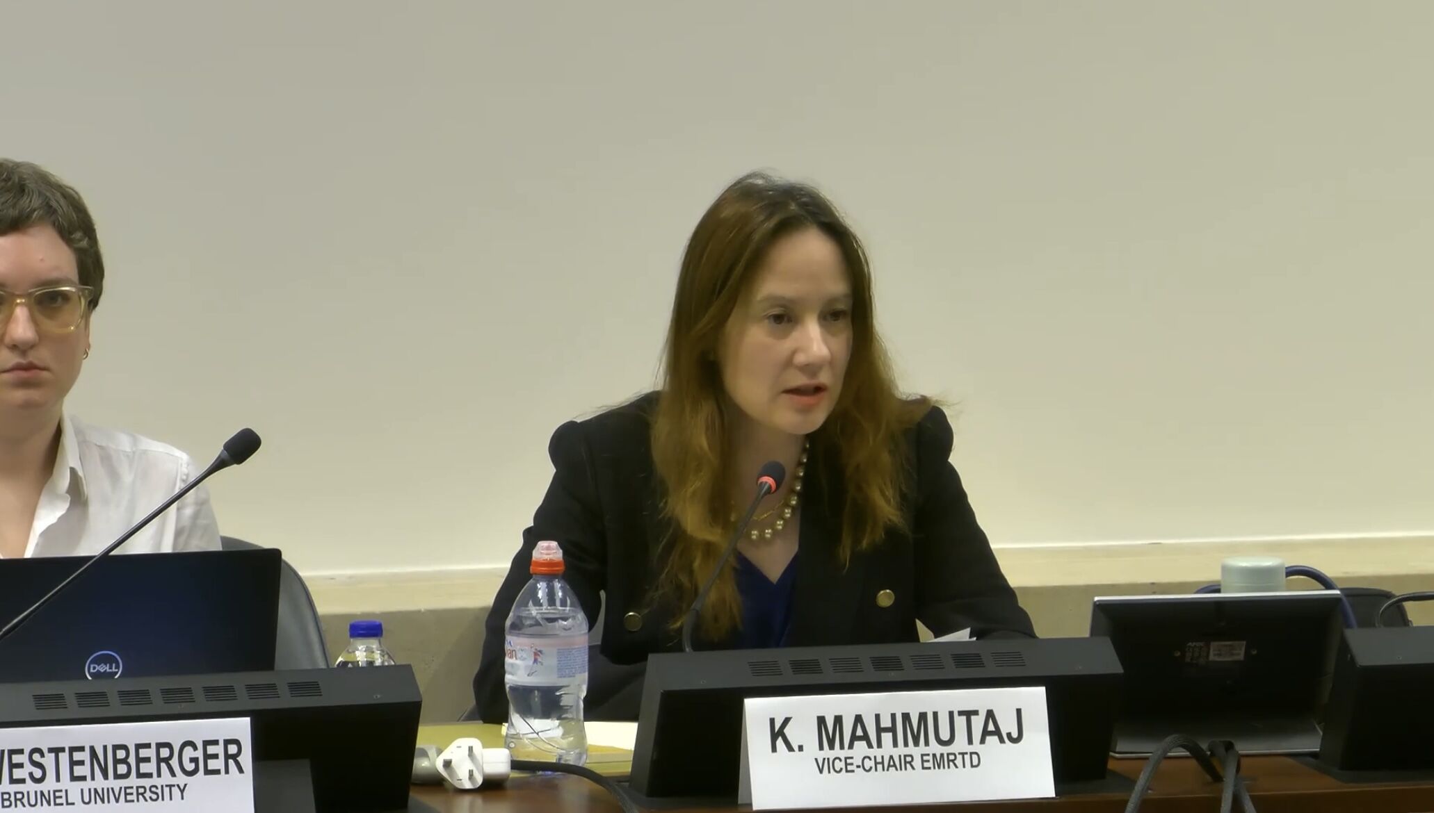 WG Right to development 16