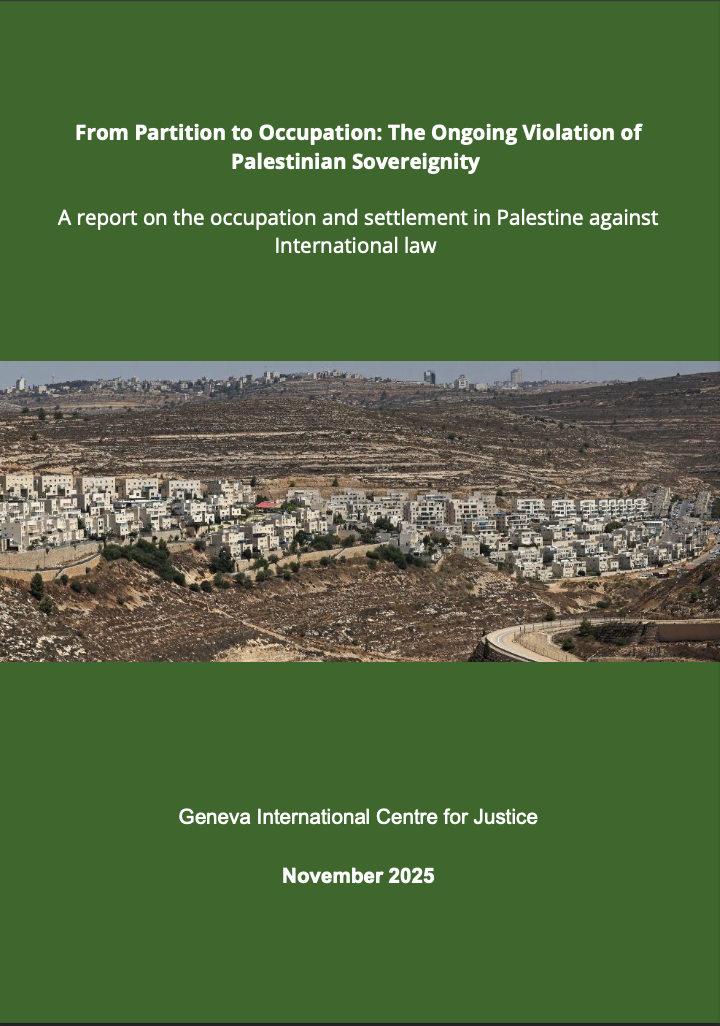 Palestine report cover