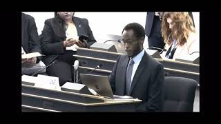  Systemic Racism Demands Action: A Call to Uphold the DDPA 