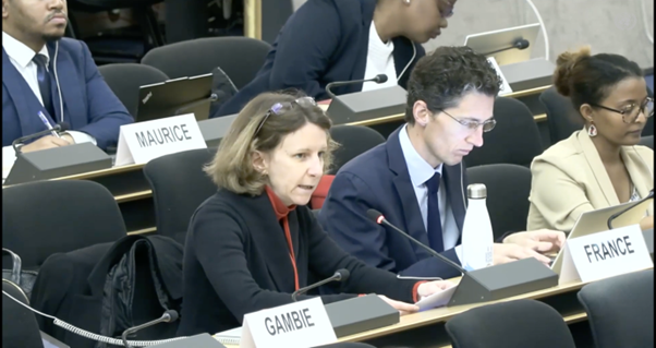 Picture10 HRC61 Iran Crimes Against Humanity and the Human Rights Impact of External Military Strikes