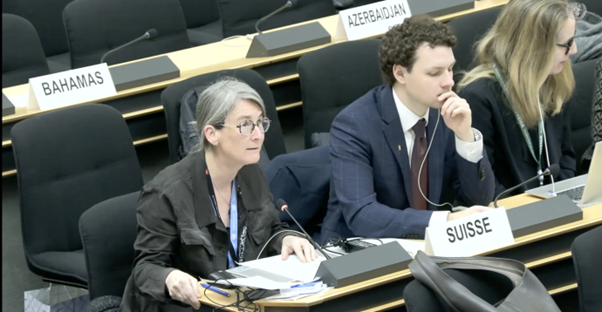 Picture13 HRC61 Iran Crimes Against Humanity and the Human Rights Impact of External Military Strikes