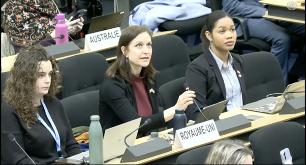 Picture14 HRC61 Iran Crimes Against Humanity and the Human Rights Impact of External Military Strikes