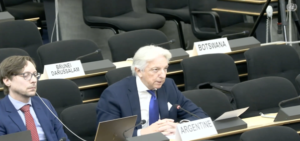 Picture18 HRC61 Iran Crimes Against Humanity and the Human Rights Impact of External Military Strikes