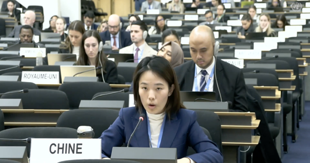 Picture24 HRC61 Iran Crimes Against Humanity and the Human Rights Impact of External Military Strikes