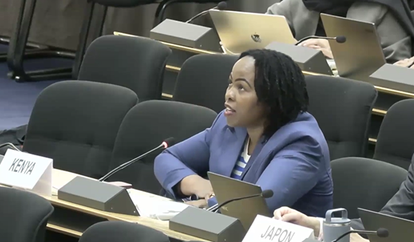 Picture5 HRC61 Children Caught in Armed Conflicts