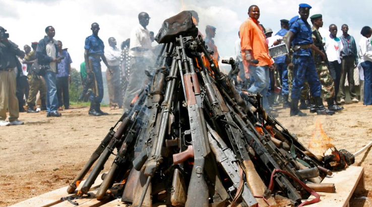 Immagine 2026 03 04 103724