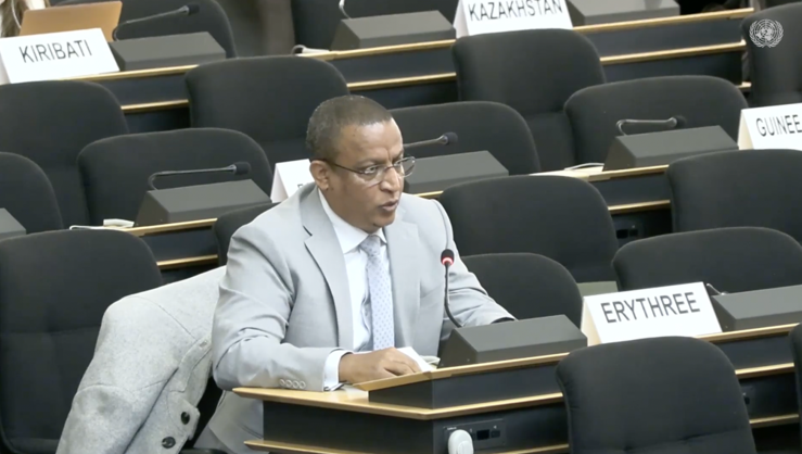 ukraine delegateoferitrea