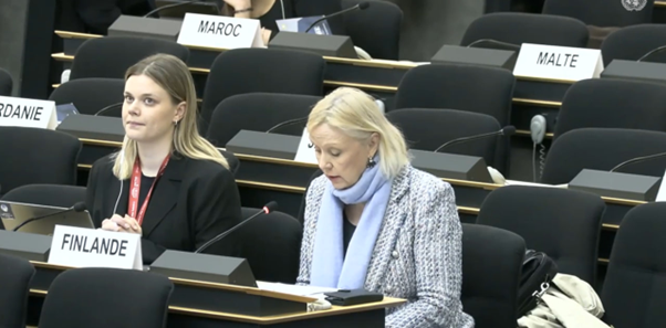 Picture2 cultural rights HRC61 discussion report