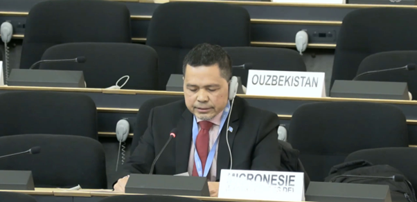 Picture3 cultural rights HRC61 discussion report