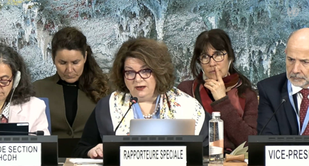 Picture7 cultural rights HRC61 discussion report